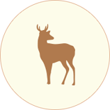 logo huemul